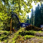 Beräumung eines Durchlasses im Thüringer Wald