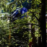 Beräumung eines Durchlasses im Thüringer Wald